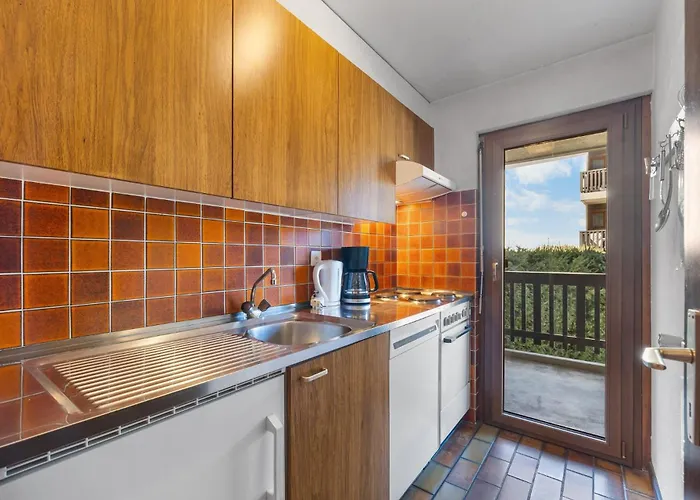 公寓 Arnica 14 - 6 Pers - Piscine